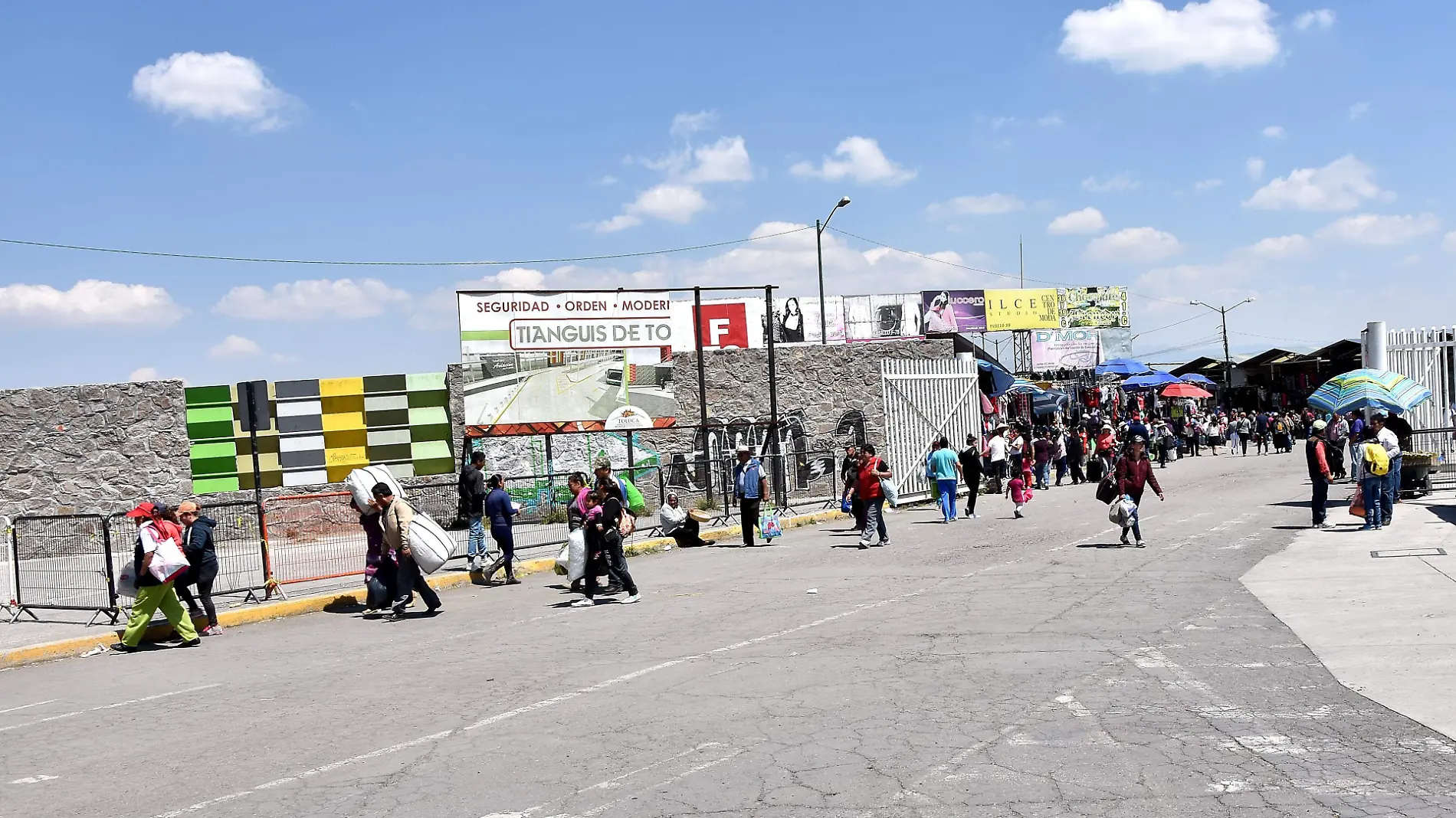 mercado de palmillas